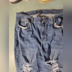 Distressed Judy Blue 22W Skinny Fit Jeans